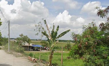 10,661 SQUARE METERS FARM LAND FOR SALE!