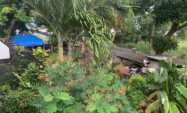 HOUSE WITH GUEST HOUSE FOR SALE NEAR THE BEACH ID 14846