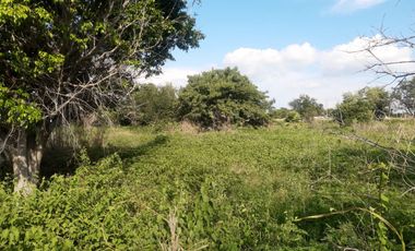 VENTA DE TERRENO PLANO EN AYALA MORELOS
