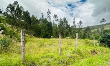 HERMOSO TERRENO EN SANTA MARTHA