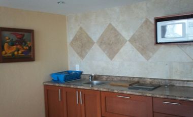 JURIQUILLA SUITES EJECUTIVAS AMUEBLADAS 1 RECAMARA TODOS LOS SERVICIOS INCLUIDOS