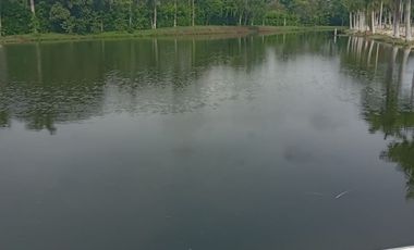 SE VENDE LOTE EN EL CONDOMINIO BOSQUES DE LA SABANA