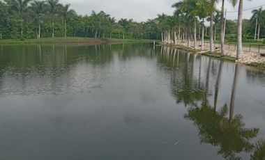 SE VENDE LOTE EN EL CONDOMINIO BOSQUES DE LA SABANA