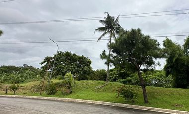RESIDENTIAL LOT; PONDEROSA LEISURE FARMS (PHASE 1) - SILANG, CAVITE