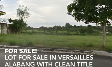 Lot for Sale Versailles Subdivision – Daang-Hari, Las Pinas