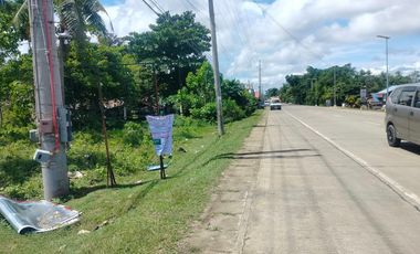 1,000 sqm clean title with 20 meters wide frontage at Panglao island Bohol near airport.