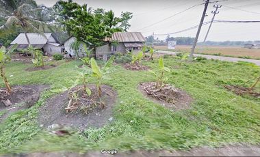 Tanah Dijual di Jl. Talang Buluh KM.16 Banyuasin