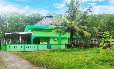 Tanah Dijual di Jl. Talang Buluh KM.16 Banyuasin