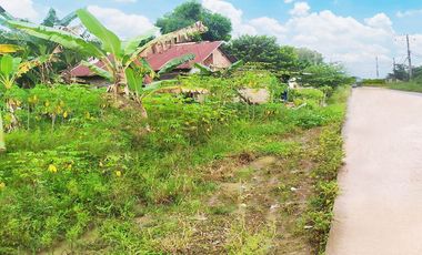 Tanah Dijual di Jl. Talang Buluh KM.16 Banyuasin