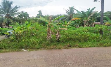 Tanah Dijual di Jl. Talang Buluh KM.16 Banyuasin