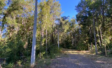 Z O N A S U R . C L 3 parcelas 7 km desde Licán Ray a  Coñaripe.