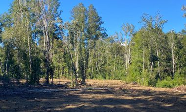 Z O N A S U R . C L 3 parcelas 7 km desde Licán Ray a  Coñaripe.