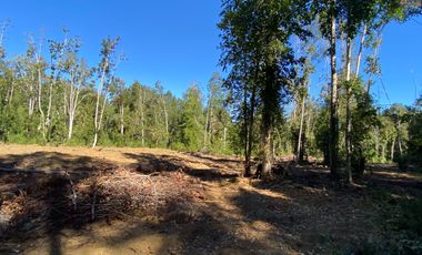 Z O N A S U R . C L 3 parcelas 7 km desde Licán Ray a  Coñaripe.