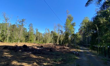 Z O N A S U R . C L 3 parcelas 7 km desde Licán Ray a  Coñaripe.