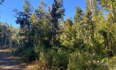 Z O N A S U R . C L 3 parcelas 7 km desde Licán Ray a  Coñaripe.