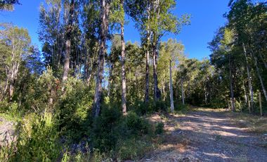 Z O N A S U R . C L 3 parcelas 7 km desde Licán Ray a  Coñaripe.