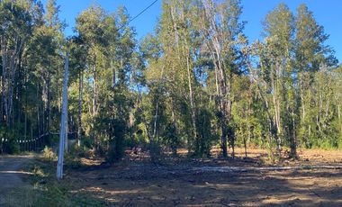 Z O N A S U R . C L 3 parcelas 7 km desde Licán Ray a  Coñaripe.