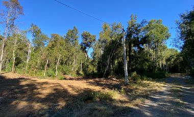 Z O N A S U R . C L 3 parcelas 7 km desde Licán Ray a  Coñaripe.