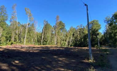 Z O N A S U R . C L 3 parcelas 7 km desde Licán Ray a  Coñaripe.