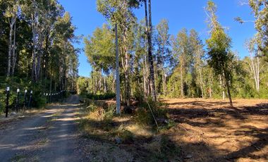 Z O N A S U R . C L 3 parcelas 7 km desde Licán Ray a  Coñaripe.