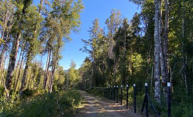 Z O N A S U R . C L 3 parcelas 7 km desde Licán Ray a  Coñaripe.