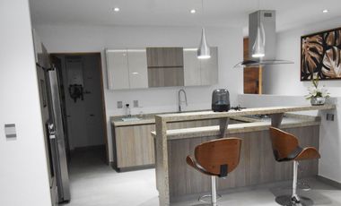 Departamento de lujo con amenidades, áreas comunes, Gym, alberca, roof, ludoteca y más.