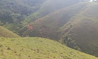 Venta Finca Ganadera y Agrícola en San Roque Antioquia