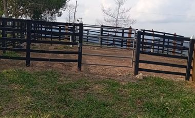 Venta Finca Ganadera y Agrícola en San Roque Antioquia