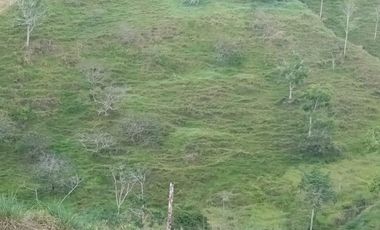 Venta Finca Ganadera y Agrícola en San Roque Antioquia