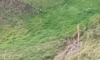 Venta Finca Ganadera y Agrícola en San Roque Antioquia