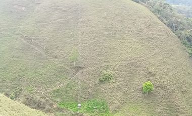 Venta Finca Ganadera y Agrícola en San Roque Antioquia