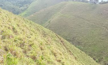 Venta Finca Ganadera y Agrícola en San Roque Antioquia