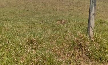 Venta Finca Ganadera y Agrícola en San Roque Antioquia