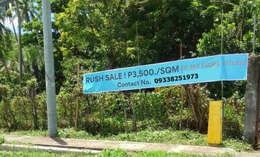 Lot for Sale in Pangil Laguna 5.9 Hectares