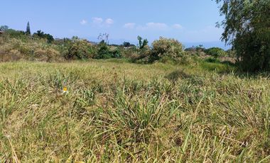 Se Vende de terreno de 2,500 m2 en la colonia los Pinos, de Jiutepec, Mor.