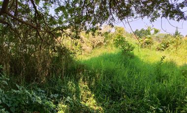 Se Vende de terreno de 2,500 m2 en la colonia los Pinos, de Jiutepec, Mor.