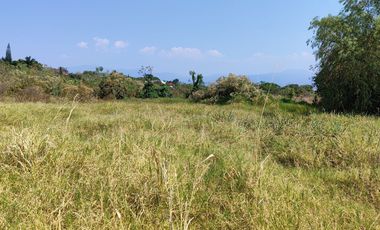 Se Vende de terreno de 2,500 m2 en la colonia los Pinos, de Jiutepec, Mor.