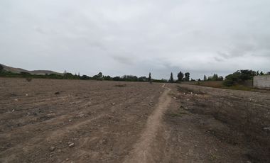 VENDO TERRENO 2 HAS EN MALA PARA PROYECTO INMOBILIARIO