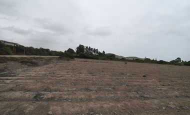 VENDO TERRENO 2 HAS EN MALA PARA PROYECTO INMOBILIARIO