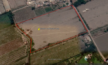 VENDO TERRENO 2 HAS EN MALA PARA PROYECTO INMOBILIARIO