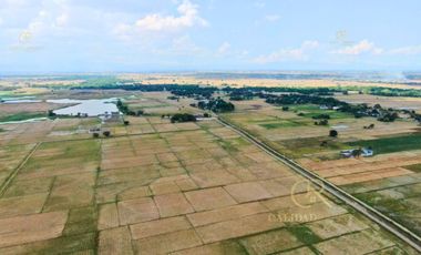 Agricultural Lot For Sale Guimba, Nueva Ecija
