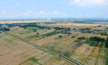 Agricultural Lot For Sale Guimba, Nueva Ecija