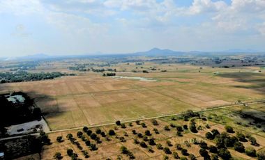 Agricultural Lot For Sale Guimba, Nueva Ecija