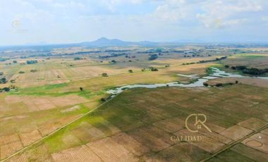 Agricultural Lot For Sale Guimba, Nueva Ecija
