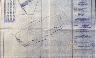 Agricultural Lot For Sale Guimba, Nueva Ecija