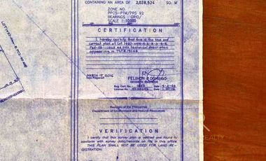 Agricultural Lot For Sale Guimba, Nueva Ecija