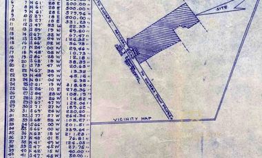 Agricultural Lot For Sale Guimba, Nueva Ecija