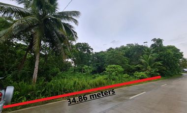 19,546 sq.m Lot For Sale in Bitaugan, Antequera, Bohol