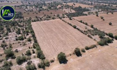 Terreno en Venta en Benito Juárez, Camino a Ajacuba, Hidalgo.