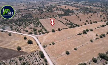 Terreno en Venta en Benito Juárez, Camino a Ajacuba, Hidalgo.